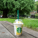 STARBUCKS COFFEE Tokyo Daigaku Kogakubu Ten - 