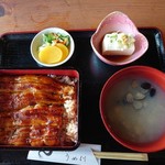 Unagi Umekawa - 