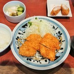 Tonkatsu Hamakatsu Kumamoto Hamasen Bypass Ten - 濱かつランチ