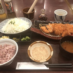 Tonkatsu Hamakatsu Hiroshima Yagi Ten - チキンかつ膳