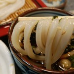 Udon no Sato Yamabiko Hon Ten - 