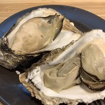 BAY OYSTER - 