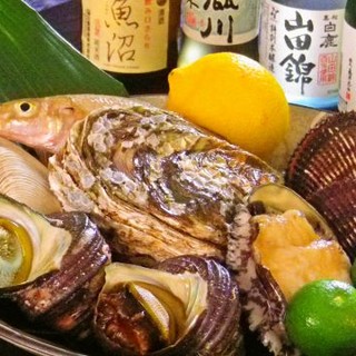 新鮮な魚介を寿司を中心に、お造り・焼き物と様々にお出しします