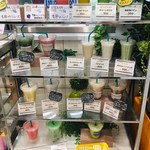 Botanical Shop Daie Kobe Sangyo Ten - 