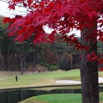 Mori no Miyako Golf Club Clubhouse Restaurant - 