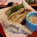 Sagami Konan Ten - 九州味めぐり御膳のきびなごとごぼ天