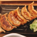 Nikujiru Gyoza no Dandadan Higashi Koganei Ten - 肉汁餃子ライス