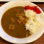 Toyohashi Station Hotel - サラダ皿にカレーライス