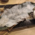 Ika Sushi Dining Sensuke Omiya Higashiguchi Honten - アオリイカ(大)生姜醤油最高です。