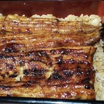 Unagi Takase - 