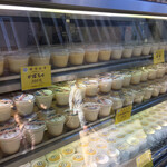 Craft Pudding Plant Kamakura Ten - 