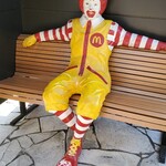 McDonald's Higashi Gawa Doro Nozaki Ten - 