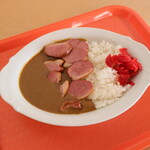 Curry-chan Curry Kariya Highway Oashis Ten - 合鴨カレー