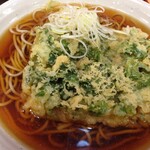 Nadai Fuji Soba Shinjuku Tocho Ten - 春菊天そば（420円）