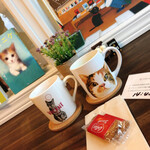 保護猫カフェ Aelu - 