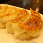 Shoryu Gyoza Bo - 