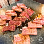 Wagyu Yakiniku to Shinsen Horumon MIYAKO - 