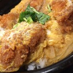 Gohan Dokoro Katsu An Suwa Ten - 