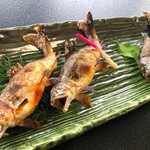 あゆ専科 山びこ - 塩焼×2と
塩焼と魚田用の鮎×1
調理方法、味付けが違うのかしら