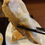 Gyoza Shuka - 肉餃子！！