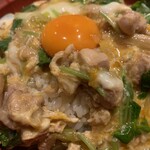 Akasaka Torikou - 絶品大山鶏の親子丼