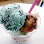 Thirty-One Ice Cream Takenoyama Road Side Ten - 