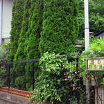 Open Garden Cafe Neko no Sanpomichi - 