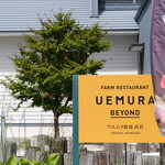 Uemura Beyond - 