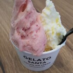 GELATO SANTA Michinoeki Toyohashiten - 