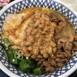 Yoshinoya Ebisucho Ten - 