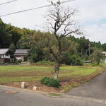 そば家　和味 - 店前の風景