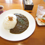 芯身美茶cafe - 本日のカレーのほうれん草カレー