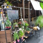 Phlox local market Daimachi Ten - 