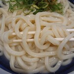 Marugame Seimen Ion Moru Mito Uchihara Ten - 釜揚げうどん特　250円(税込)　麺アップ