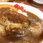 Curry Do Ootori Ten - カレー頂きます♡