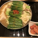 Hakata Motsu-nabe Ooyama Nanba - 