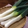 手打ちそばと鴨料理 一穂 - 料理写真:冬の味覚「下仁田ねぎ」