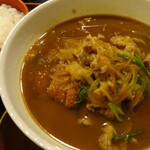 Tosa Udon - 