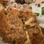 Ichigen Shinkamagaya Ten - ロースかつ＆ヒレかつ煮定食