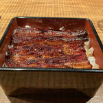 Iki Unagi Shami - 