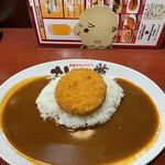 Curry Do Ootori Ten - 