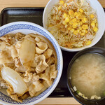 吉野家 - 豚丼（並盛）
            Aセット（生野菜サラダ、みそ汁）