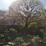 Rans kamakura - 