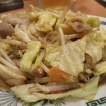 Hidakaya Kanazawa Bunko Higashiguchi Ten - 野菜もそうですが、お肉も十分入っています。