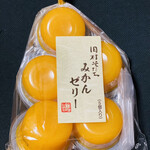 Kinokawa Service Area (Kudari Sen) Snack Corner - 