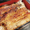 Unagi Akagaki - 