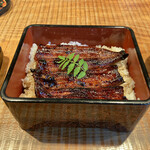 Iki Unagi Shami - 