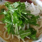 Curry Udon Ya Sasa Atsugi Ten - 