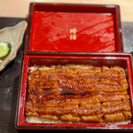 Unagi Tokito - 