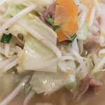 Hidakaya Funabashi Motomachi 4 Chome Ten - 野菜たっぷり湯麺、アップ